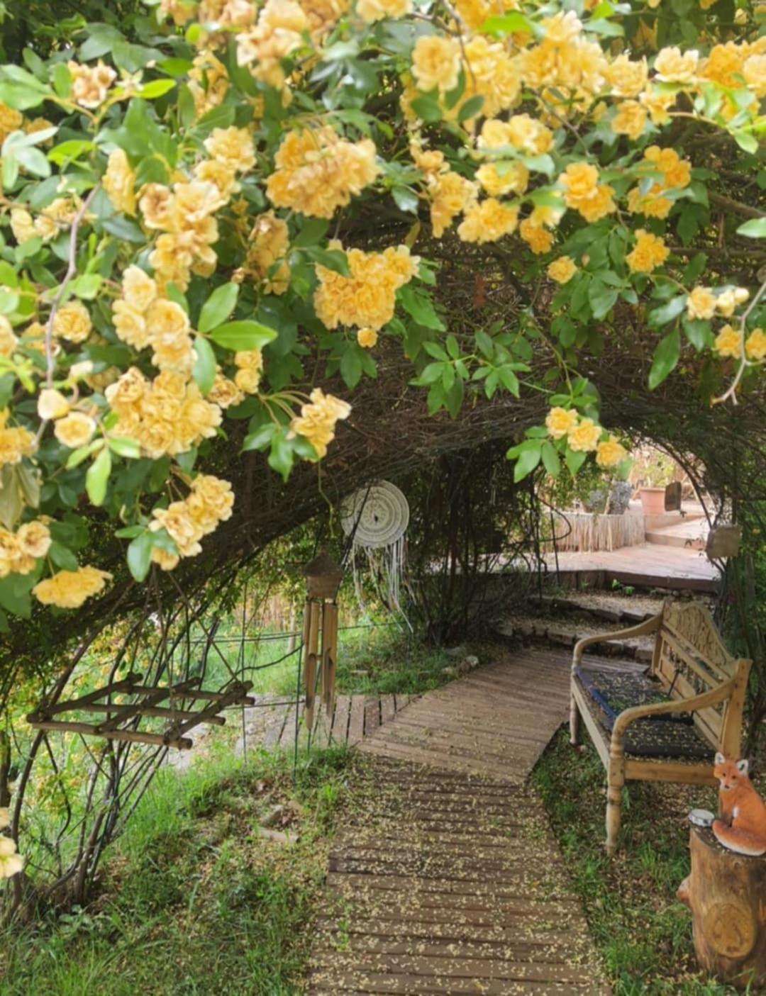 La Lyalis Bed and Breakfast Aiguines Εξωτερικό φωτογραφία